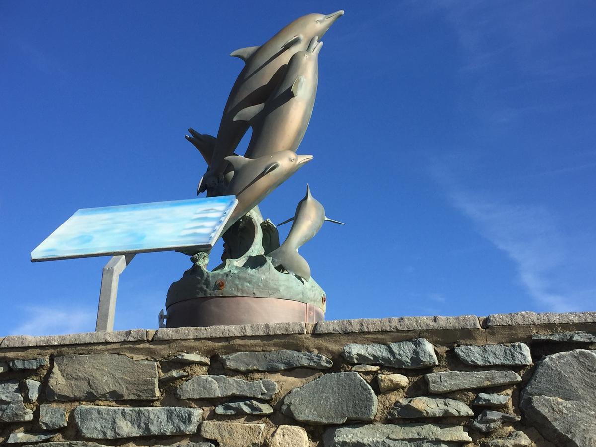 Oceandrive Barmouth Exterior foto